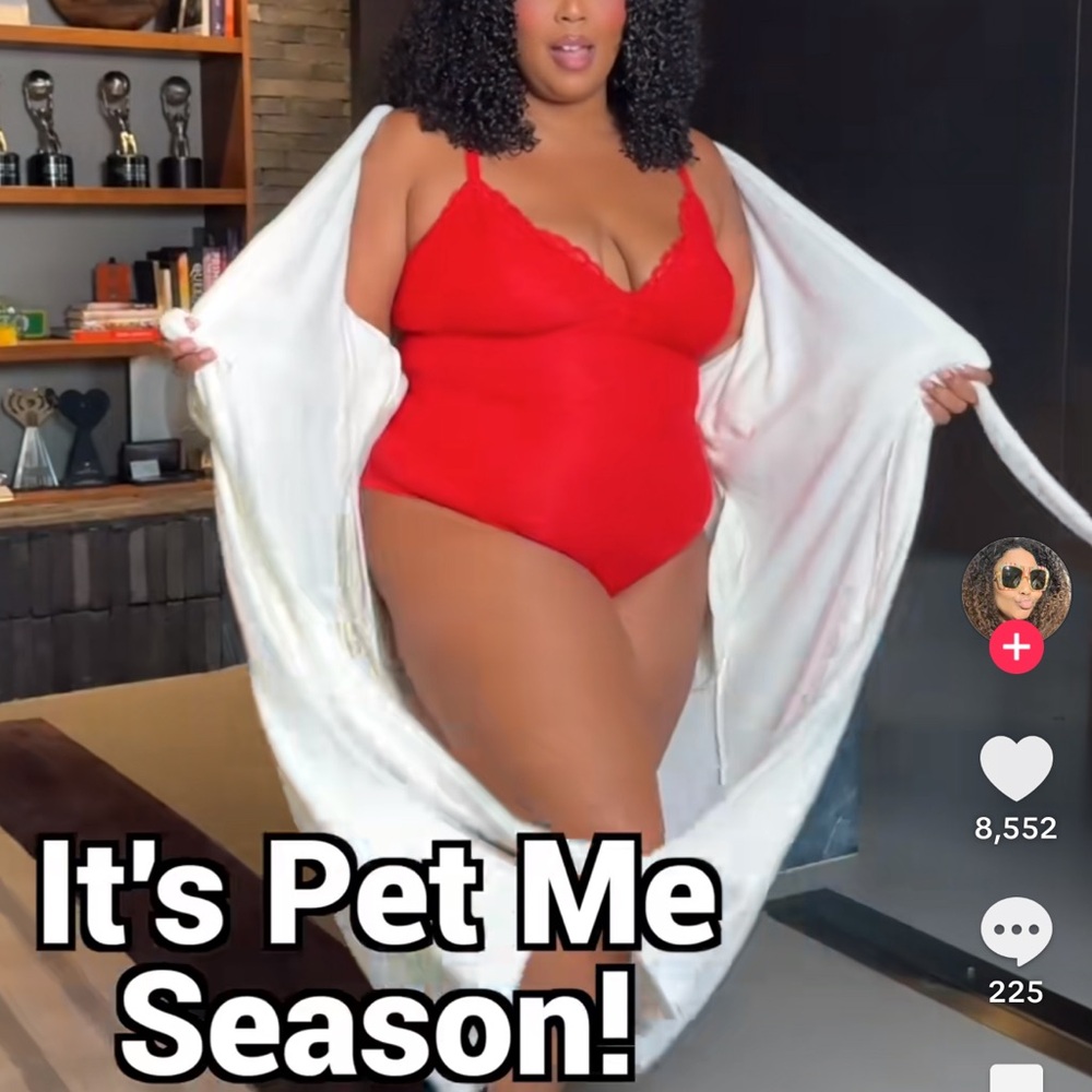 NWT YITTY Pet Me Hooded Robe - Picture 3 of 3